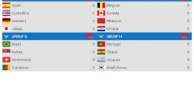 Capture d'écran de World Football Simulator 18