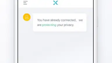Capture d'écran de X-VPN 1