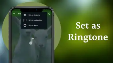 Capture d'écran de Goat Sounds 8