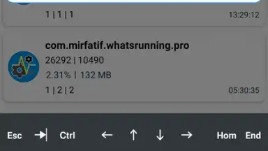 Capture d'écran de WhatsRunning Demo 7