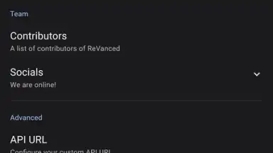Capture d'écran de ReVanced Manager 5