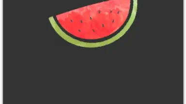 Capture d'écran de VPN Melon 1