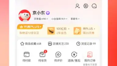 Capture d'écran de Jingdong 10