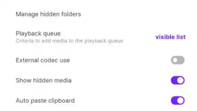 Capture d'écran de KMPlayer 11