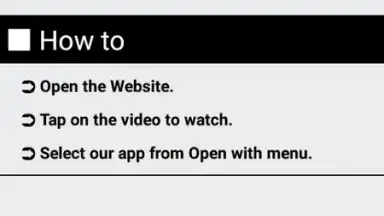 Capture d'écran de Web Video Downloader 4