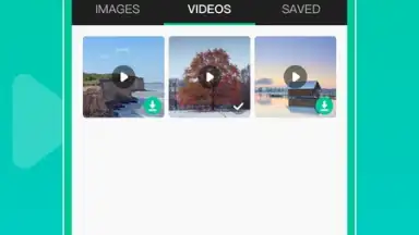 Capture d'écran de WAStatusGrabD 3