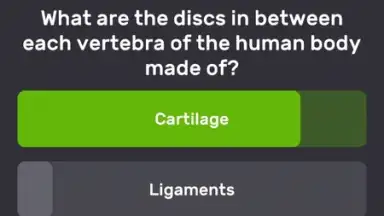 Capture d'écran de QuizzLand 5