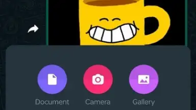 Capture d'écran de WhatsApp Messenger 28