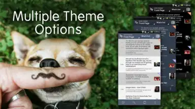 Capture d'écran de BaconReader for Reddit 5