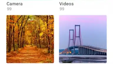 Capture d'écran de vivo Gallery 2