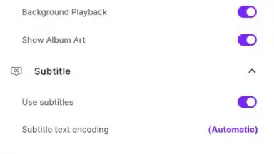 Capture d'écran de KMPlayer 8