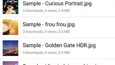 Capture d'écran de MediaFire 10