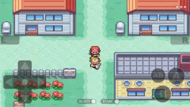 Capture d'écran de Pokemon Collection 3