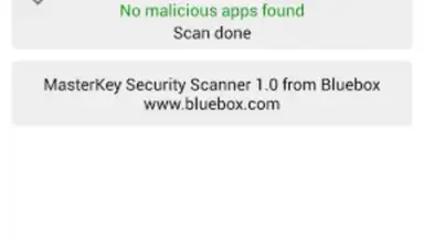 Capture d'écran de Bluebox Security Scanner 2