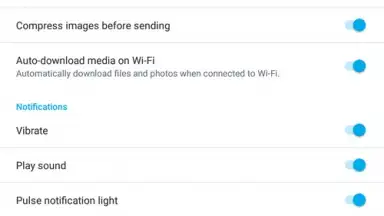 Capture d'écran de Skype Lite 1