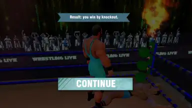 Capture d'écran de Tag Team Wrestling Games: Mega Cage Ring Fighting 7