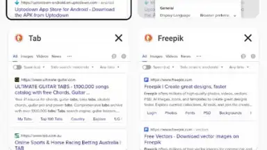 Capture d'écran de DuckDuckGo Private Browser 12