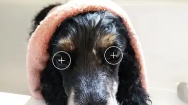 Capture d'écran de MakeupPlus 3