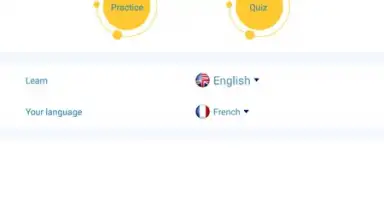 Capture d'écran de Reverso Translation Dictionary 15