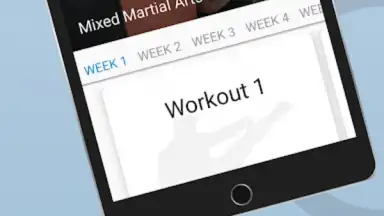 Capture d'écran de Ultimate MMA Fighting Program 5