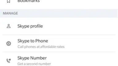 Capture d'écran de Skype 1