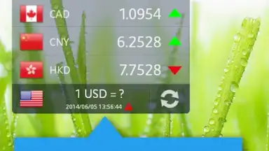 Capture d'écran de Currency Exchange Rates 8