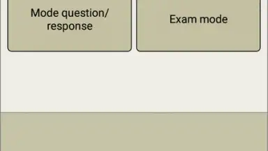 Capture d'écran de The bible quiz game 6
