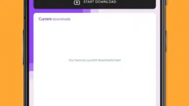 Capture d'écran de Twitch Downloader 3