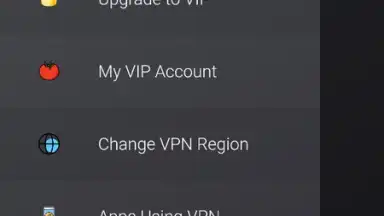 Capture d'écran de VPN Tomato 8