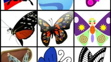 Capture d'écran de Butterfly Flower for DoodleTex 4