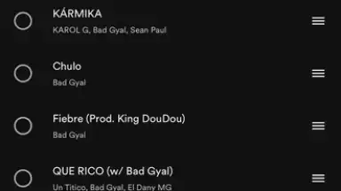Capture d'écran de Spotify 15