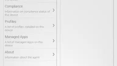 Capture d'écran de AirWatch Agent 3