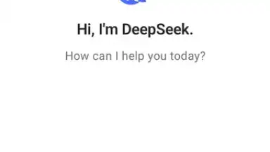 Capture d'écran de DeepSeek 1