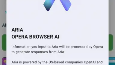 Capture d'écran de Opera Browser 22