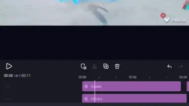 Capture d'écran de VivaCut 5