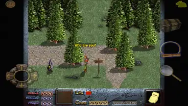 Capture d'écran de Dink Smallwood HD 8