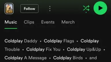 Capture d'écran de Spotify 28