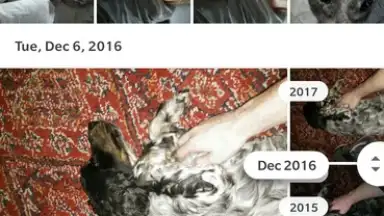 Capture d'écran de Google Photos 4