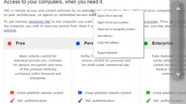 Capture d'écran de VNC Viewer 14