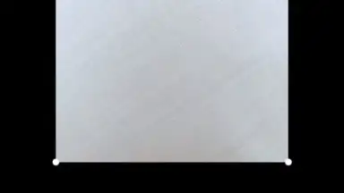 Capture d'écran de HedgeCam 2 3