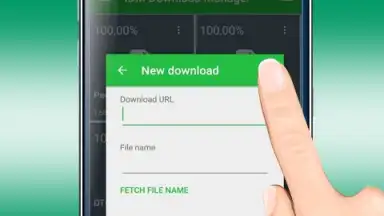 Capture d'écran de IDM Internet Download Manager 4