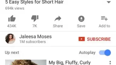 Capture d'écran de YouTube Pro Downloder 1
