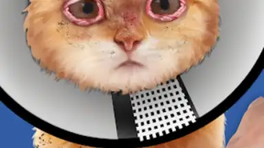 Capture d'écran de Cat ASMR: Salon Makeover 3