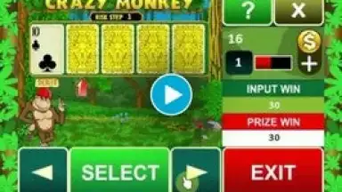Capture d'écran de Crazy Monkey Slot Machine 1