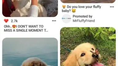 Capture d'écran de Pinterest 3