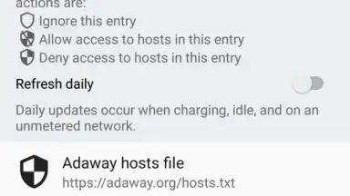 Capture d'écran de DNS66 6