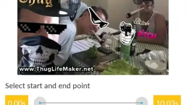Capture d'écran de Video and GIF Memes 6