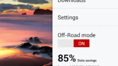 Capture d'écran de Opera Browser 14