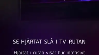 Capture d'écran de Melodifestivalen 3