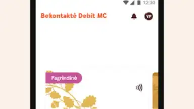 Capture d'écran de Swedbank 3